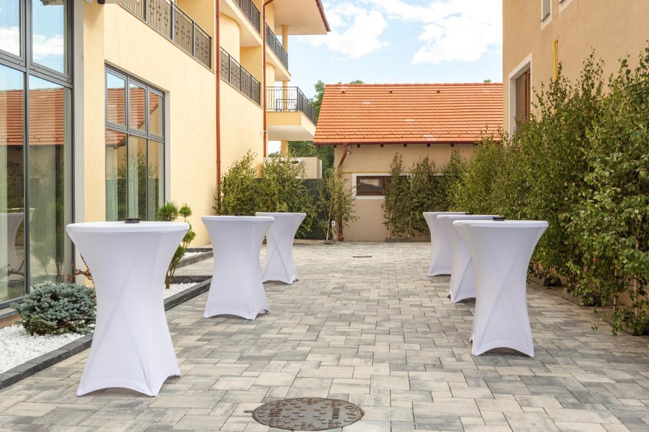Hotel Leul De Aur Sebeş Εξωτερικό φωτογραφία